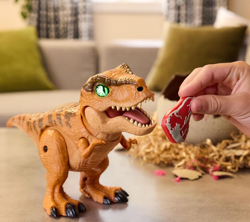 Interactive Dinosaur Hatch & Egg