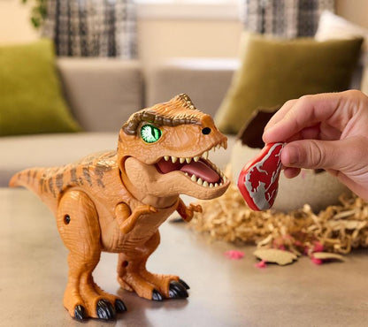 Interactive Dinosaur Hatch & Egg