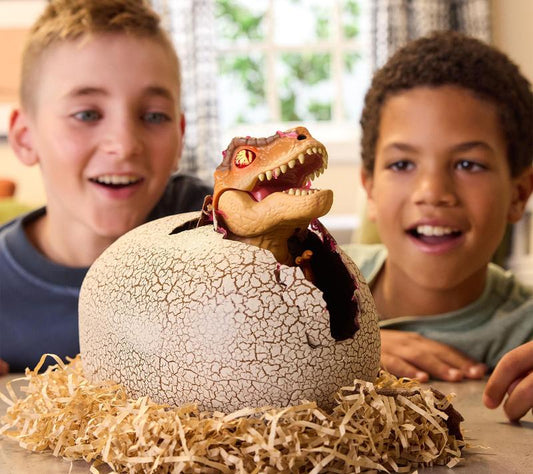 Interactive Dinosaur Hatch & Egg